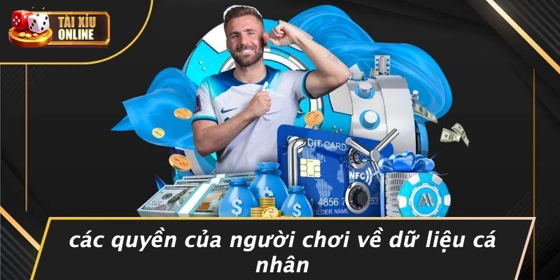 Các Quyền Của Người Chơi Về Dữ Liệu Cá Nhân